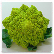 Oconomowoc Landscape Supply & Garden Center Organic Vegetables