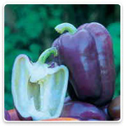 Oconomowoc Landscape Supply & Garden Center Organic Vegetables