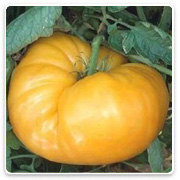 Oconomowoc Landscape Supply & Garden Center Organic Vegetables
