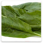 Oconomowoc Landscape Supply & Garden Center Organic Vegetables