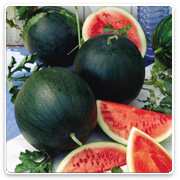 Oconomowoc Landscape Supply & Garden Center Organic Vegetables