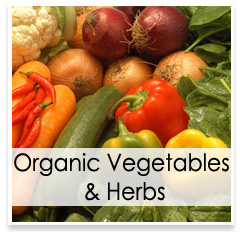 Oconomowoc Landscape Supply & Garden Center Organic Vegetables & Herbs